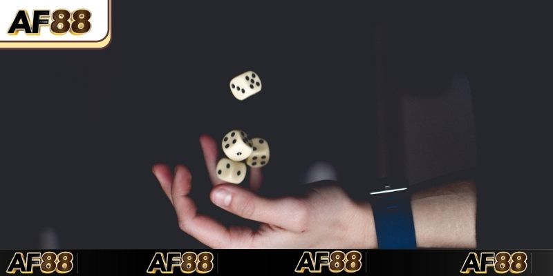 Thông tin tổng quan về xóc đĩa AF88 cho người mới