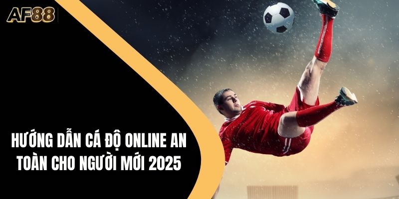 Hướng Dẫn Cá Độ Online An Toàn Cho Người Mới 2025